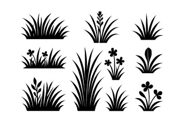 Grass and wildflower silhouette illustration set