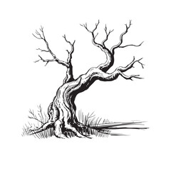 Obraz premium Monochrome Sketch of a Solitary Bare Tree with Textured Bark and Grassy Base casting a Shadow on White