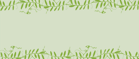 Botanical green banner with frame of climbing plants Mouse Pea, empty background for insertion.