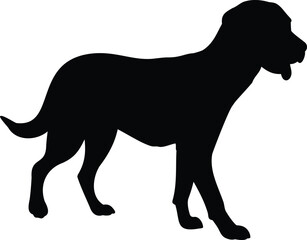 black silhouette of a dog