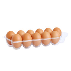 Eggs in Tray &ndash; Fresh Raw Eggs
