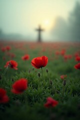 Single red poppy in focus before cross in misty field at sunrise on remembrance day