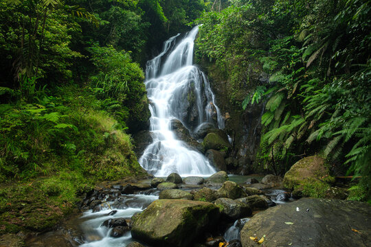 Scenic Waterfall sawer malasari, Bogor, west java, Flowing Through a Lush Green Forest With Stunning Serenity