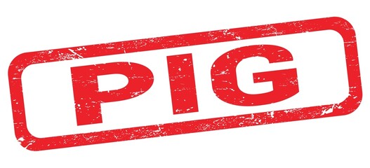 PIG text written on red rectangle stamp.