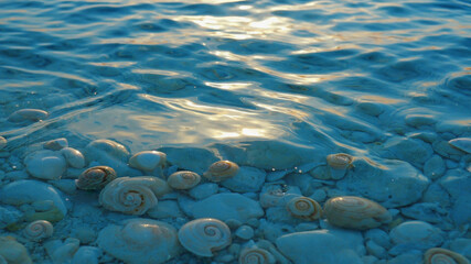 Crystal Clear Tide Pool with Rocks, Shells, and Reflections under Gentle Waves

