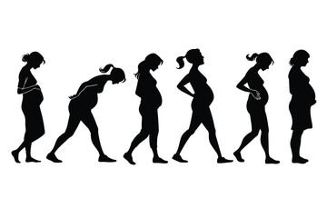 Obraz premium Visualizing the stages of pregnancy and human evolution through silhouette
