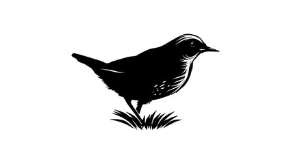 White-capped Dipper bird, black isolated silhouette