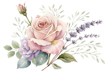 Bouquet of roses on a transparent or white background. Pastel roses and lavender blend with aged green leaves.