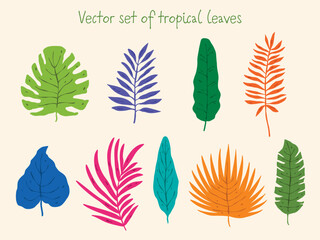Vector set of colorful tropical leaves in hand-drawn style
