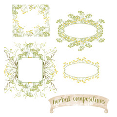 Herbal and floral wreaths and frames on transparent background. Wild field flower arrangements. Watercolour style
