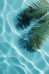 palm tree background