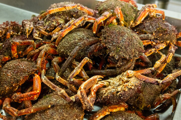 Preparing a Gourmet Seafood Dish with Velvet Crabs. Concept: The art of high-end gastronomy.