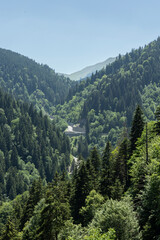 Sumela Monastery is a Greek Orthodox monastery and church complex. The structure and detailed frescoes were built in 386 AD.