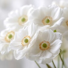 Close Up White Flowers Bouquet