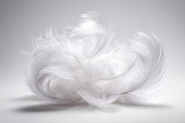 Obraz premium Abstract Arrangement Of White Feathers
