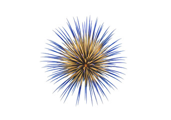 Obraz premium Vibrant fireworks explosion in night sky, illuminating festive celebration atmosphere