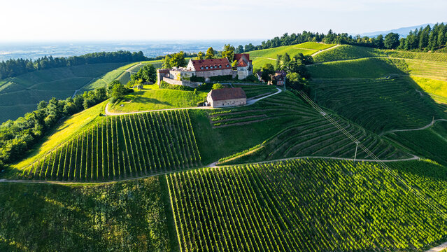 Aerial View of Schloss Staufenberg and Vineyards in Durbach