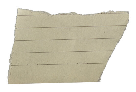 Piece of ripped torn lined paper on transparent background, paper cut out design element