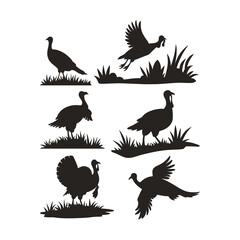 Six black turkey silhouettes in various poses and grass