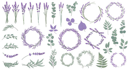 Beautiful hand drawn lavender and eucalyptus botanical elements for invitations and crafts