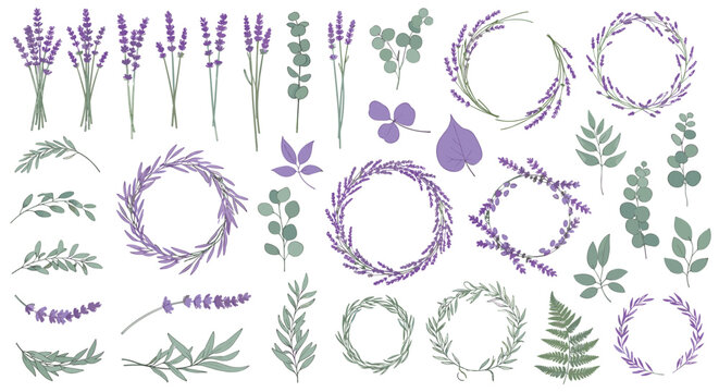 Beautiful hand drawn lavender and eucalyptus botanical elements for invitations and crafts