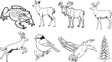Fototapeta premium Collection of wild animals and birds in black and white sketch style