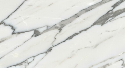 Obraz premium Marble Texture Abstract Background with Gray Veins