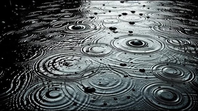 Ripples on water surface created by raindrops, black and white shot