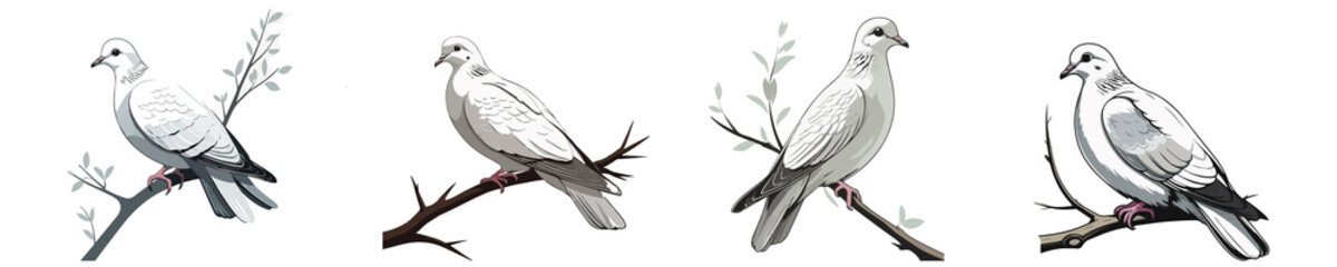 Fototapeta premium Four elegant white doves perched on branches with delicate leaves