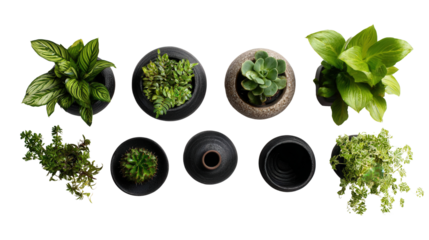 Flower Pots and Planters: A flat lay of flower pots and planters with fresh plants, isolated on a Transparent background, PNG file.