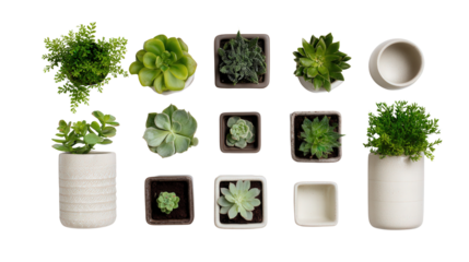 Flower Pots and Planters: A flat lay of flower pots and planters with fresh plants, isolated on a Transparent background, PNG file.