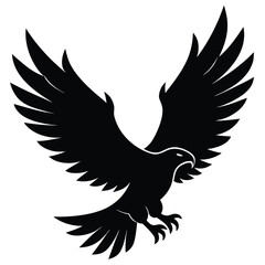 Obraz premium Black eagle soaring wings spread wide bird flying