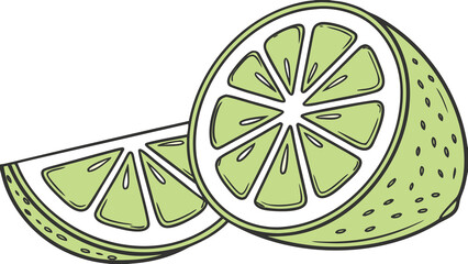 Vector lime slice with crisp green gradient segments and glossy overlay, blank background.

