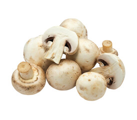 button mushroom isolated on white background