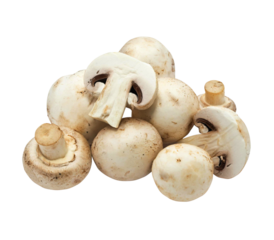 button mushroom isolated on white background