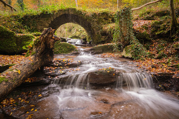 Creek stream waterfall with old stone bridge and wooden trunk stones and orange fall leaves scenery