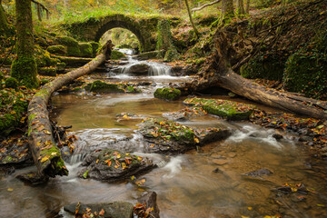 Trunk trees and fall leaves lying in a creek stream with waterfall and stone bridge