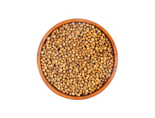 Coriander Seeds Isolated, Cilantro Grains, Chinese Parsley Seed Group, Dry Spices, Seasonings