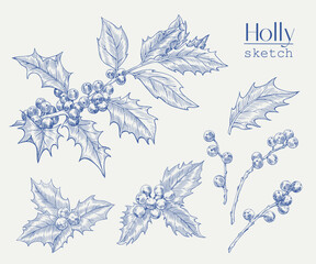 Christmas Vintage set holly branches. Hand drawn sketch. Engraved Blue beige graphic elements. Illustration for holiday decor design, greeting card, new year decoration. Monochrome
