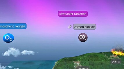 Oxygen cycle 3D animation