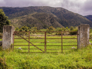 The old rusty metal gate of a farm, attached to two concrete columns, in the eastern Andean mountains of central Colombia near the town of Sotaquira.
