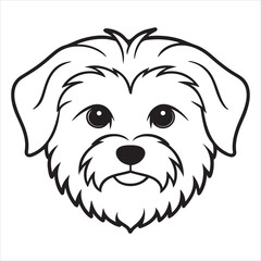 Maltese Magic: Capturing the Cuteness of the Fluffy Friend