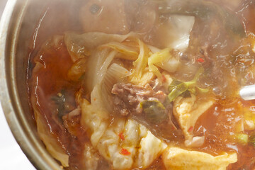 Vegetable and Meat Hot Pot