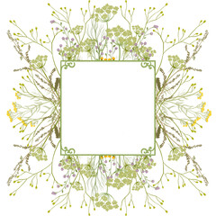 Floral frame with wild field flowers, plants and leaves. Summer herbal clipart. Invitation template. Romantic card