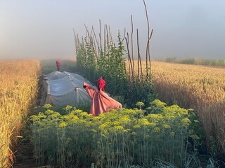 Polska wieś strach na wróble © Maciej G. Szling