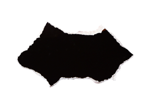 Pieces of torn or cut black paper, design elements isolated on transparent background. - Powered by Adobe