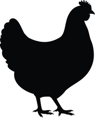 Minimalist Chicken Silhouette Icon: Black Side Profile Poultry Illustration for Farm, Agriculture, Food Industry, and Animal Symbol Design