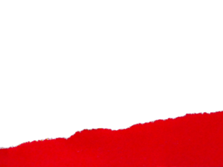 Pieces of torn or cut red paper, design elements isolated on transparent background.