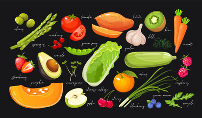 Vector cartoon poster with different vegetables, fruits and herbs isolated on dark background with names. Healthy food illustration
