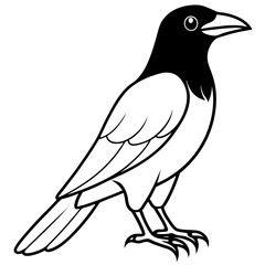 Raven bird line art vector illustration  